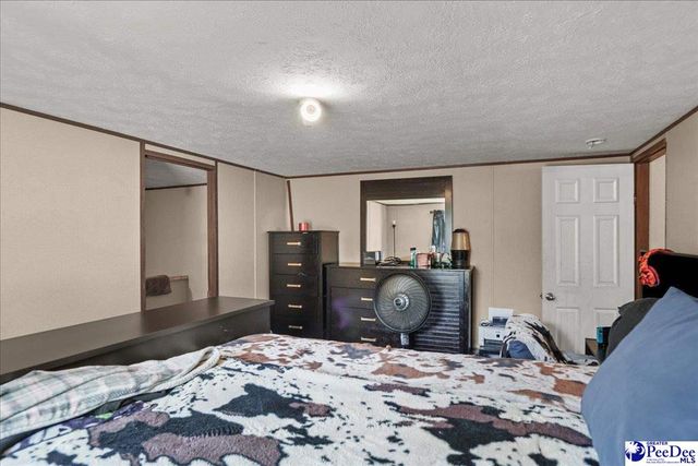 6909 Candy Buck Ln, Effingham, SC 29541