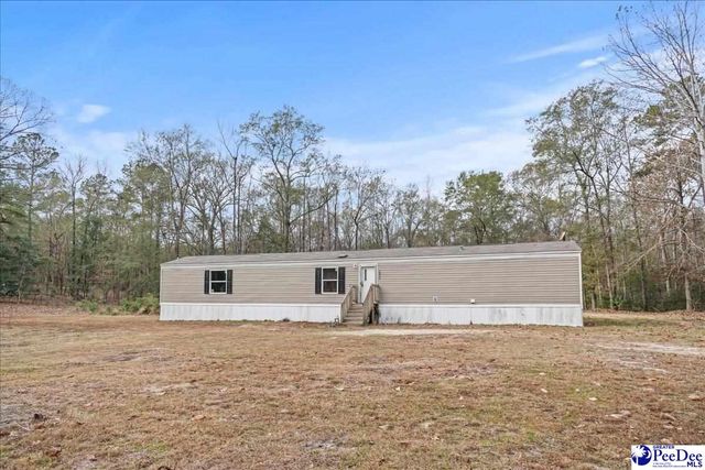 6909 Candy Buck Ln, Effingham, SC 29541