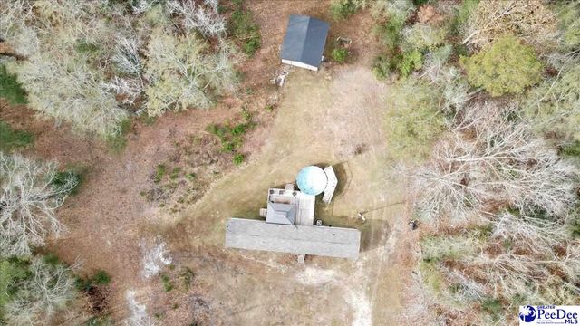 6909 Candy Buck Ln, Effingham, SC 29541