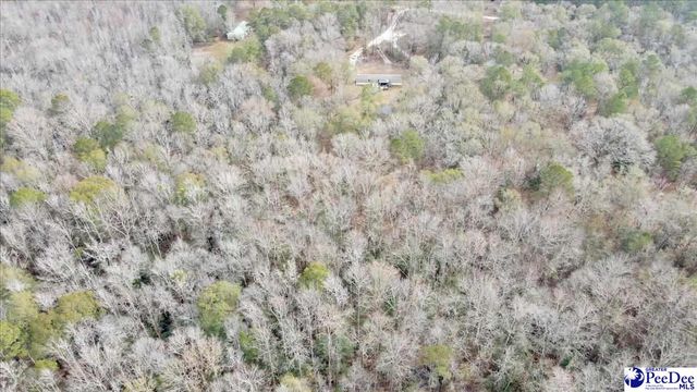 6909 Candy Buck Ln, Effingham, SC 29541