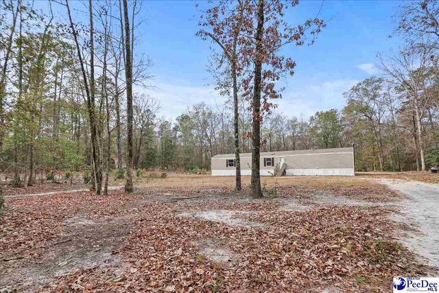 6909 Candy Buck Ln, Effingham, SC 29541