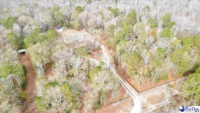 6909 Candy Buck Ln, Effingham, SC 29541