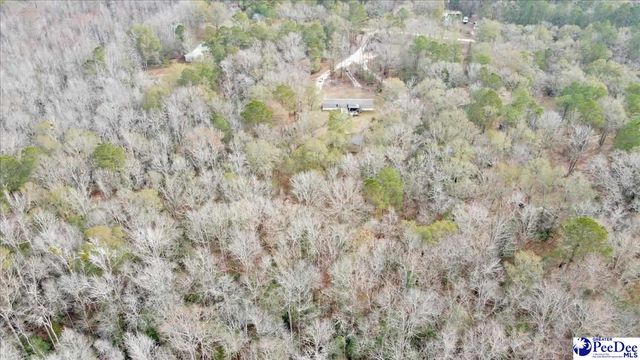 6909 Candy Buck Ln, Effingham, SC 29541