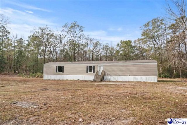 6909 Candy Buck Ln, Effingham, SC 29541