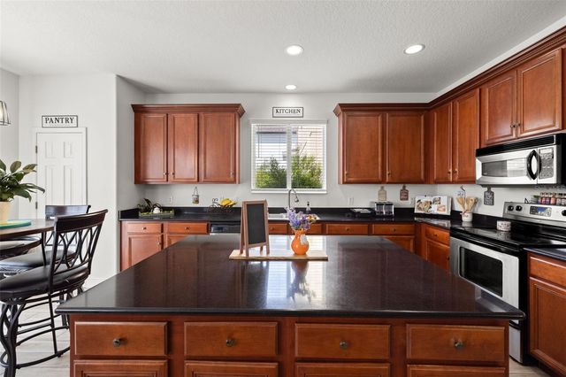 17535 BALMAHA DRIVE, Land O Lakes, FL 34638