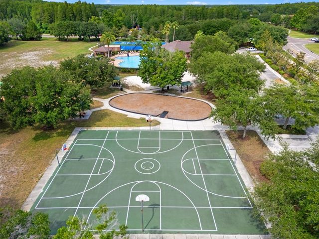 17535 BALMAHA DRIVE, Land O Lakes, FL 34638