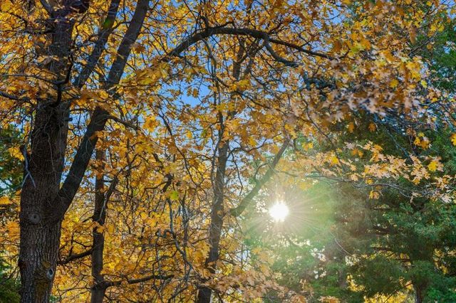 1614 Colusa Drive, Big Bear, CA 92314