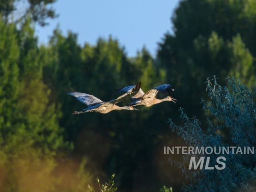 6891 W 2000 S, Rexburg, ID 83440 photo 19