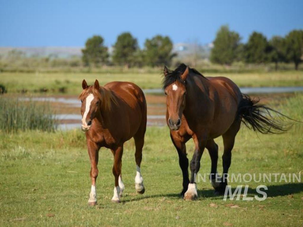 6891 W 2000 S, Rexburg, ID 83440 photo 24
