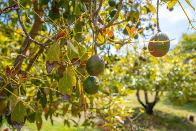 1301 Little Morro Creek Road, Morro Bay, CA 93442