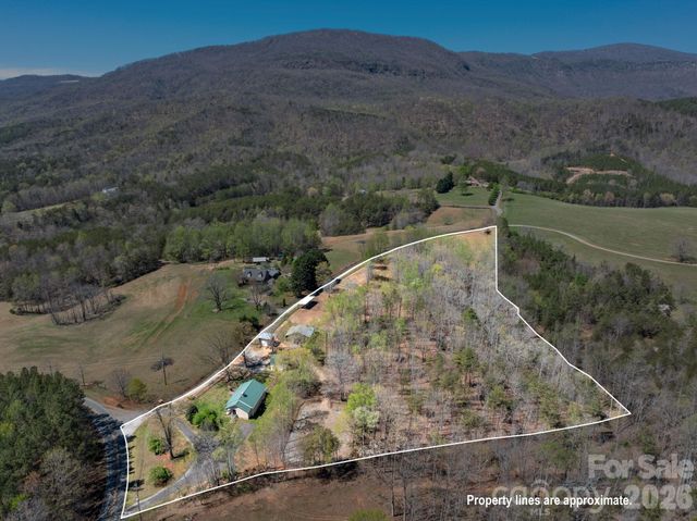 1434 Lake Adger Road, Mill Spring, NC 28756