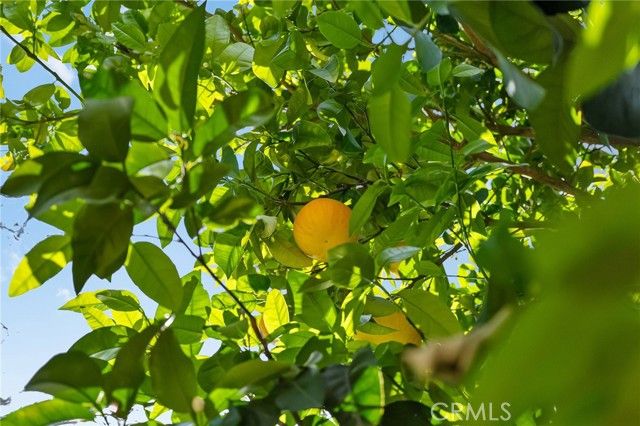 5386 Royal Oaks, Oroville, CA 95966