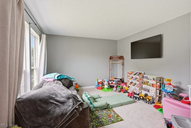 1223 Tinkers Green Drive, Streetsboro, OH 44241