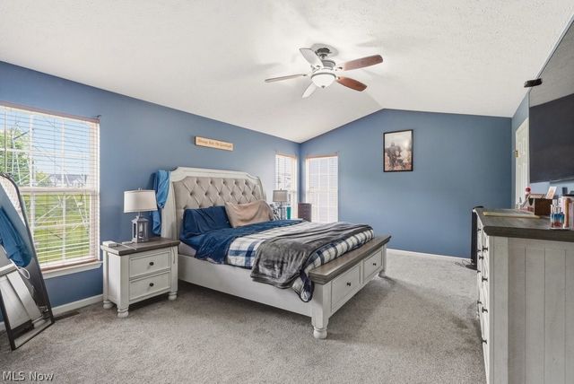 1223 Tinkers Green Drive, Streetsboro, OH 44241