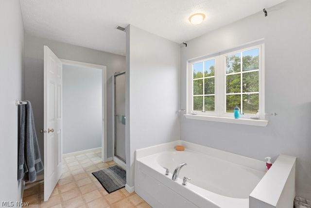 1223 Tinkers Green Drive, Streetsboro, OH 44241