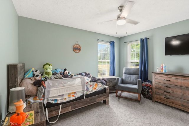 1223 Tinkers Green Drive, Streetsboro, OH 44241
