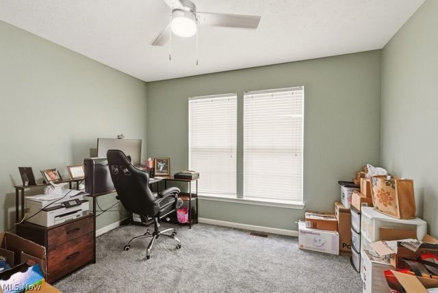 1223 Tinkers Green Drive, Streetsboro, OH 44241