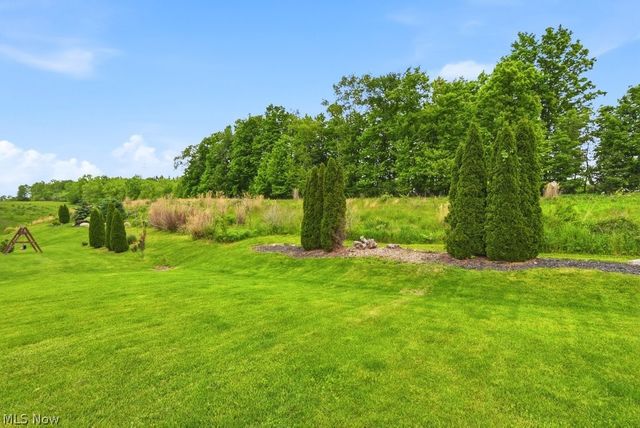 1223 Tinkers Green Drive, Streetsboro, OH 44241