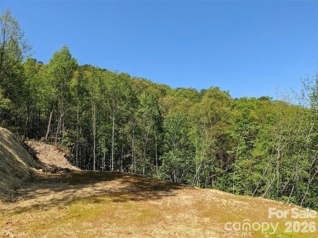 171 Nuthatch Lane C-30, Black Mountain, NC 28711