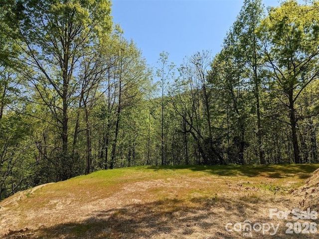171 Nuthatch Lane C-30, Black Mountain, NC 28711