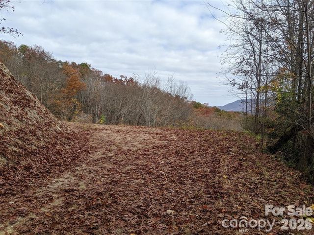 171 Nuthatch Lane C-30, Black Mountain, NC 28711