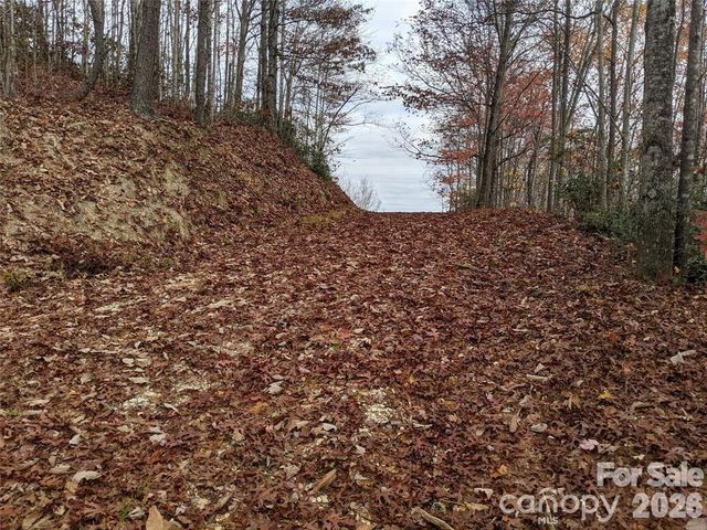 171 Nuthatch Lane C-30, Black Mountain, NC 28711