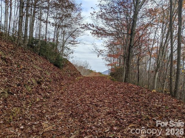 171 Nuthatch Lane C-30, Black Mountain, NC 28711