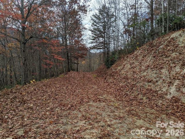 171 Nuthatch Lane C-30, Black Mountain, NC 28711