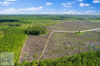 Tract 4 Morris Break Road, Odum, GA 31555