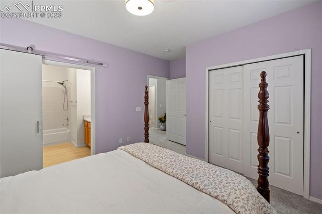 1256 Paula Circle, Monument, CO 80132