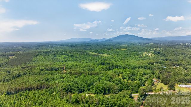 66 Misery Ridge Trail, Mill Spring, NC 28756