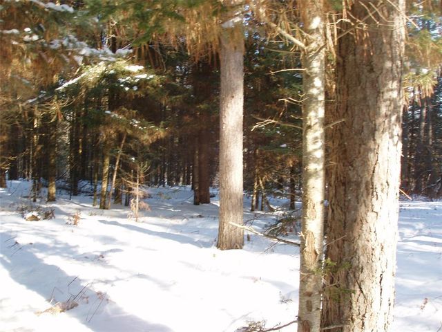 79879 Hinz Road, Glidden, WI 54527