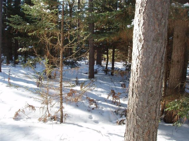 79879 Hinz Road, Glidden, WI 54527