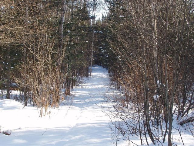 79879 Hinz Road, Glidden, WI 54527