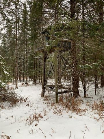 79879 Hinz Road, Glidden, WI 54527