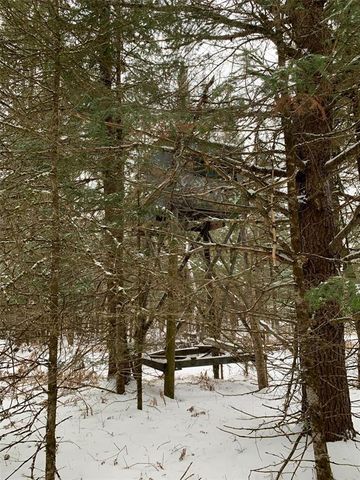 79879 Hinz Road, Glidden, WI 54527