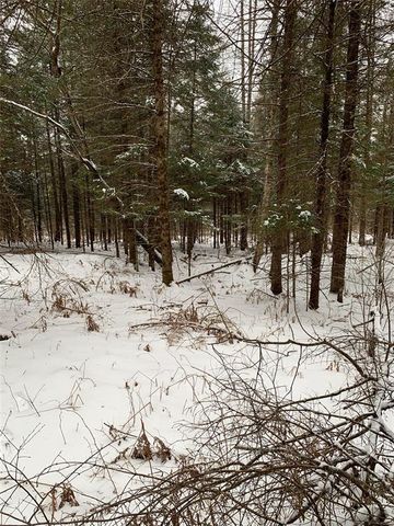 79879 Hinz Road, Glidden, WI 54527