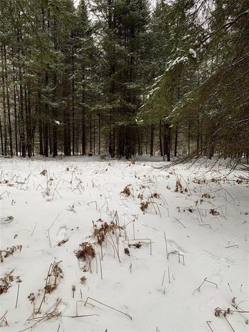 79879 Hinz Road, Glidden, WI 54527