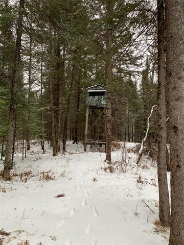 79879 Hinz Road, Glidden, WI 54527