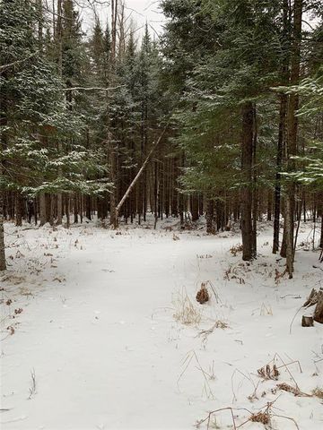 79879 Hinz Road, Glidden, WI 54527