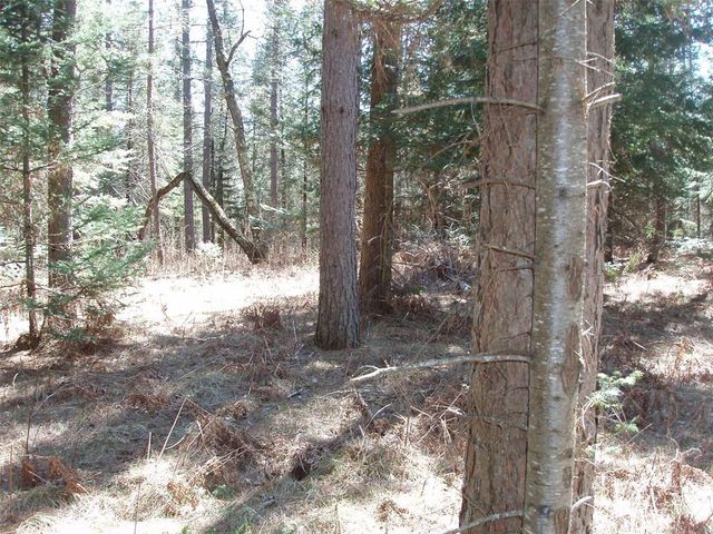 79879 Hinz Road, Glidden, WI 54527