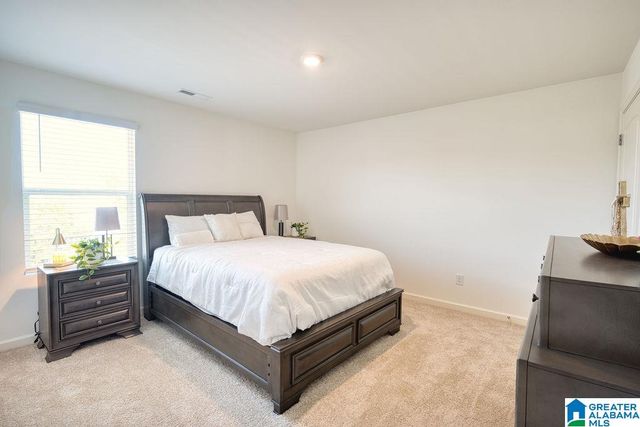 23117 DOWNING PARK CIRCLE, Mccalla, AL 35111