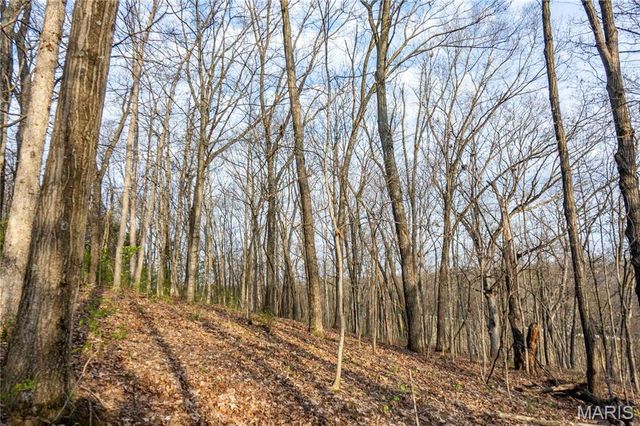 948 McIntosh Hill Road, Foley, MO 63341
