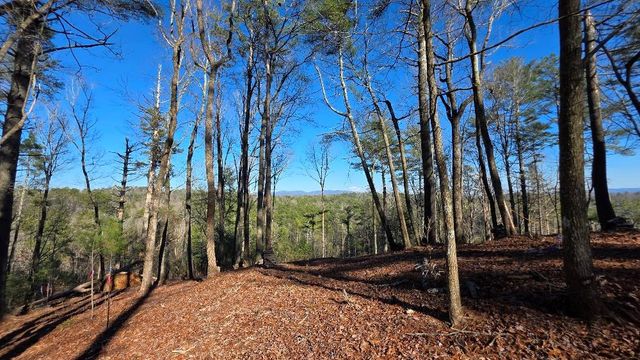 153 Red Oak Trail, Ellijay, GA 30540