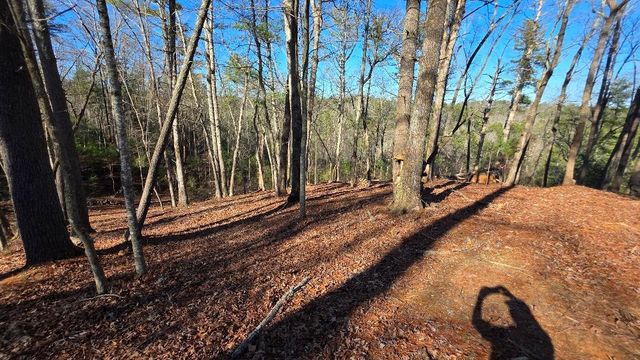 153 Red Oak Trail, Ellijay, GA 30540