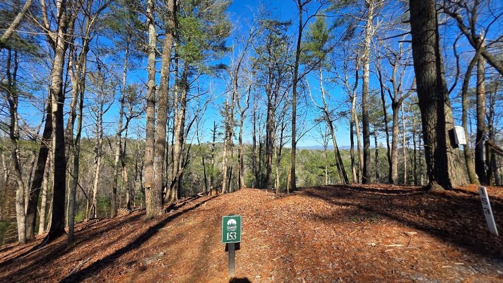153 Red Oak Trail, Ellijay, GA 30540