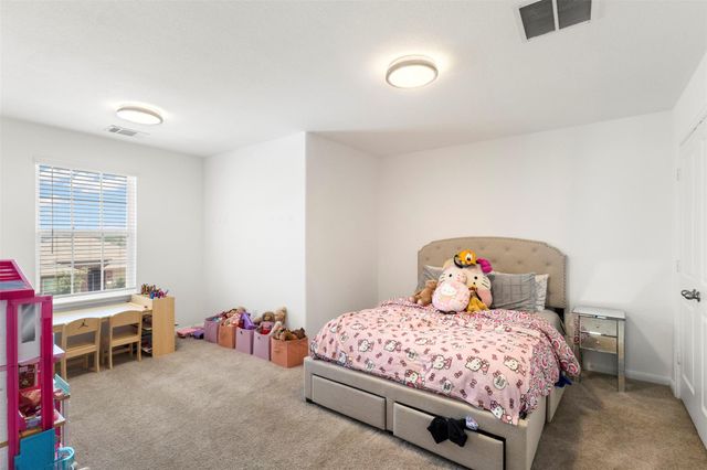 241 Oleander LOOP, Buda, TX 78610