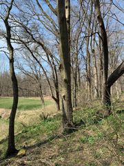 0 Winterbottom Road, Morris, IL 60450