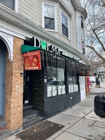 22 Chestnut Place 210, Brookline, MA 02445