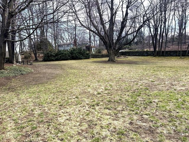 22 Chestnut Place 210, Brookline, MA 02445